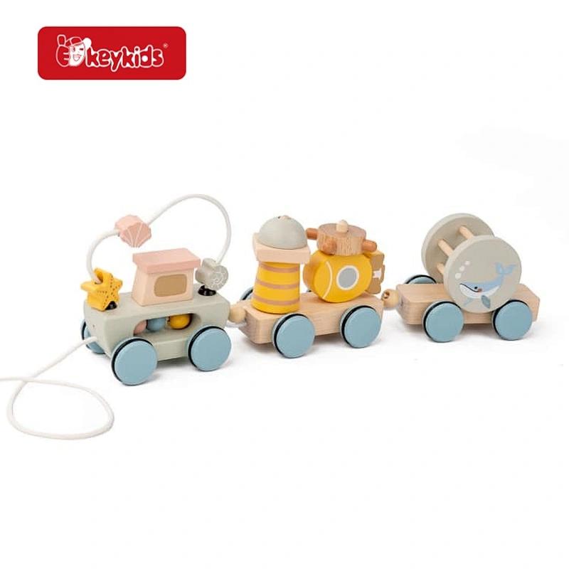 Ocean Themed Wooden Pull-Along Train Set, Montessori Activity Toy with Spinning and Sliding Features for Toddlers W05B249